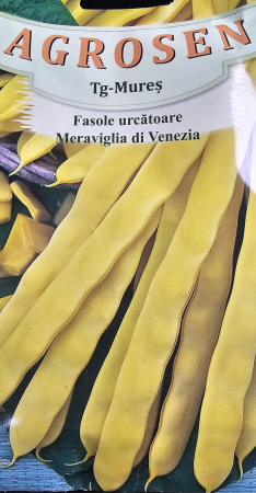 Semințe de Fasole - Seminte fasole Meraviglia di Venezia - 80 grame
