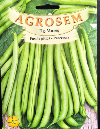 Semințe de Fasole - Seminte fasole Processor - 50 grame