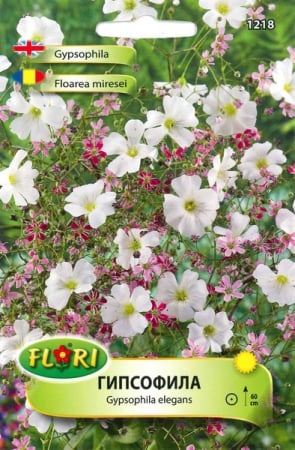 Produse - Seminte Floarea Miresei