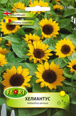 Produse - Seminte Flori Floarea Soarelui Orange