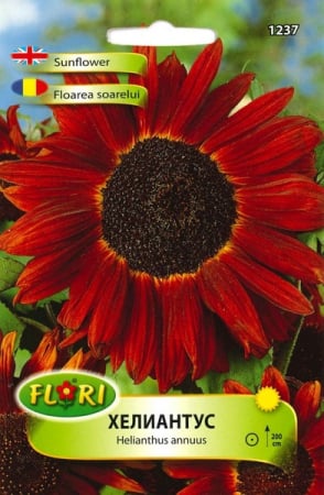 Semințe de Flori - Seminte Flori Floarea Soarelui Rosu