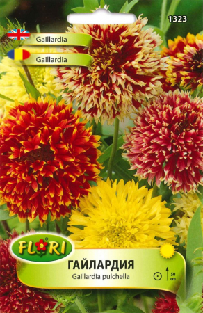 Semințe de Flori - Seminte Gaillardia Pulchella (Fluturei)