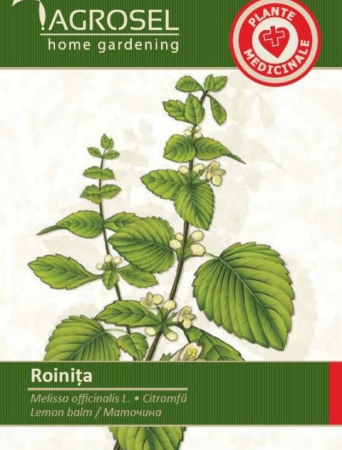Plante aromatice - Seminte Roinita - 1,5g