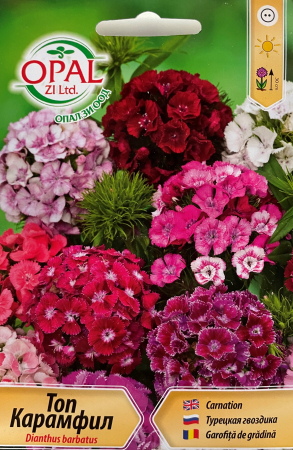 Produse - Seminte Garofite Pinocchio 0.5 grame