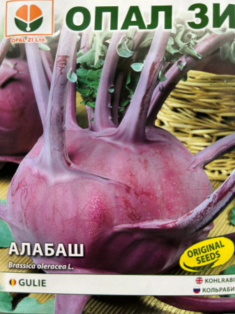 Semințe de Gulii - Seminte Gulie Violet Vienna 3 grame