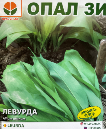 Seminte Leurda- 0,5 g [1]