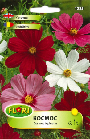 Semințe de Flori - Seminte Mararita