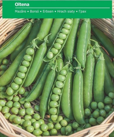 Produse - Seminte Mazare Oltena, 35 grame