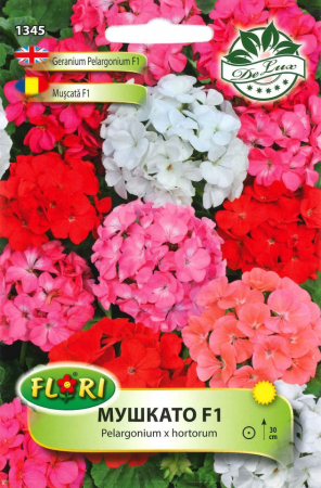 Semințe de Flori - Muşcată de grădină mix/ Pelargonium x hortorum mix