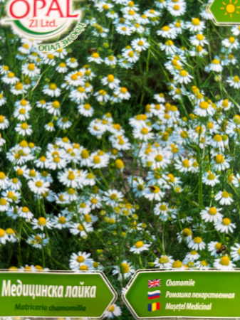 Seminte Musetel medicinal [1]