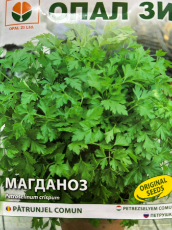 Plante aromatice - Seminte Patrunjel Comun 10 grame