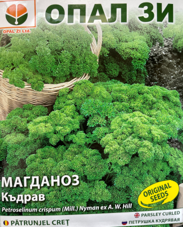 Plante aromatice - Seminte patrunjel Cret- 5 g