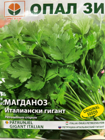 Plante aromatice - Seminte Patrunjel Gigant italian 10 grame