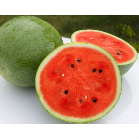 Semințe de Pepeni - Seminte Pepene verde Danubiana F1, 10 seminte