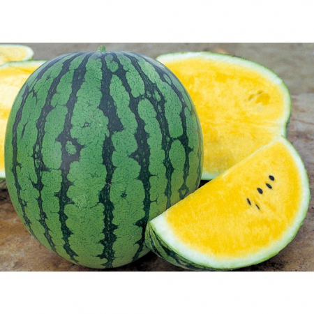 Semințe de Pepeni - Seminte Pepene verde Peace F1, 10 seminte