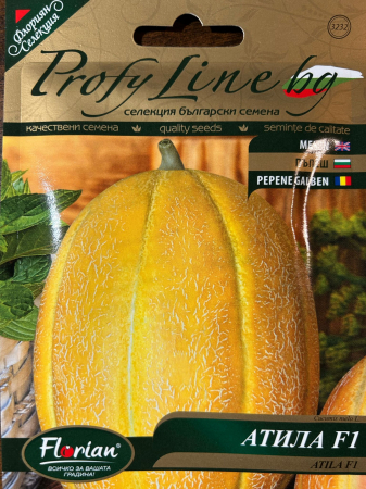 Seminte pepeni Atila F1 (25 seminte) [0]