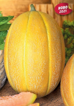 Seminte pepeni Atila F1 (25 seminte) [1]