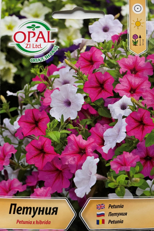 Semințe de Flori - Seminte Petunie mixt