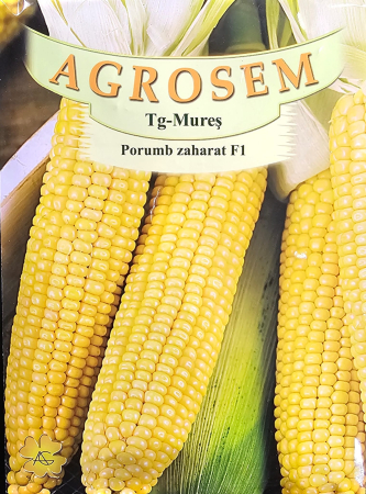 Semințe de Porumb - Seminte porumb Gucio F1 - 40 grame