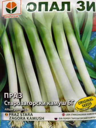 Semințe de Praz - Seminte Praz Stara Zagora Kamush 2 grame