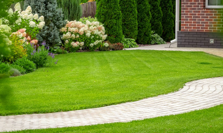 Produse - Seminte Raigras (gazon universal) 100 grame