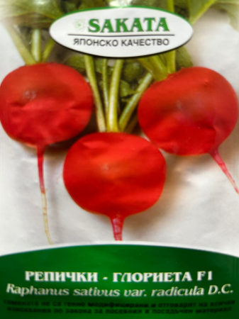 Produse - Seminte ridichi Glorieta F1 (Gloriette) 400 seminte