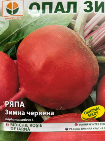 Semințe de Ridichi - Seminte ridichi Rosii de iarna 5 grame