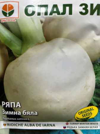 Semințe de Ridichi - Seminte Ridiche Alba de iarna 5 grame