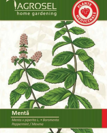 Plante aromatice - Seminte Menta - 0,2g