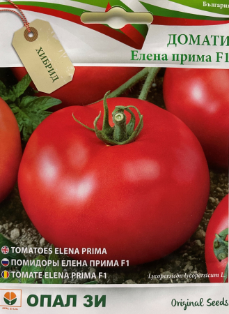 Semințe Roșii - Semințe roșii Elena Prima F1 - 1g