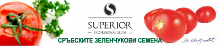 Produse - Semințe roșii Inimă de Miere, Superior