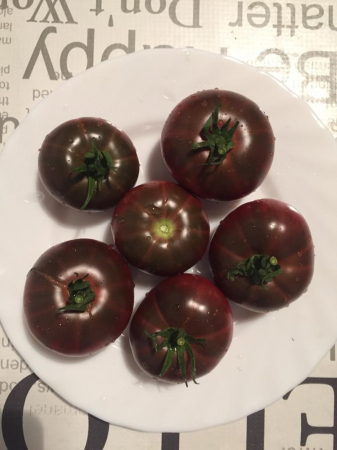 Semințe roșii Negre de Crimeea - 0,5g - Opal [1]