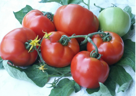 Semințe Roșii - Seminte rosii Parris F1 250 seminte