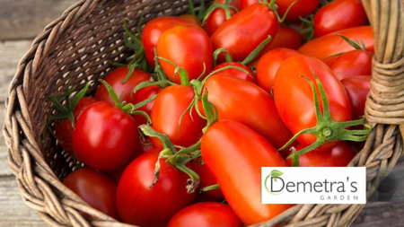 Seminte rosii San Marcano (San Marzano) 0.5 grame [1]