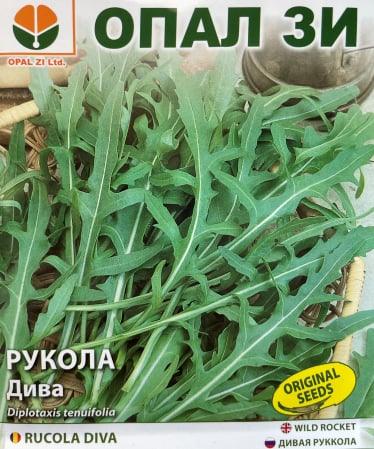Plante aromatice - Seminte rucola Wild rocket ( Rucola Salbatica ) - 1 g
