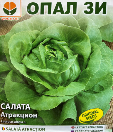 Semințe de Salată - Seminte salata Attraction- 2 g