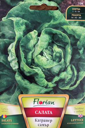 Semințe de Salată - Seminte Salata Cagraner Summer 2 grame