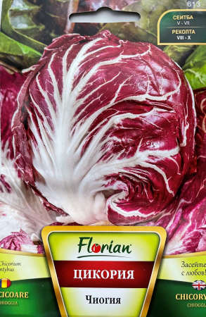 Produse - Seminte Salata Cicoare tip căpăţăna 3 grame