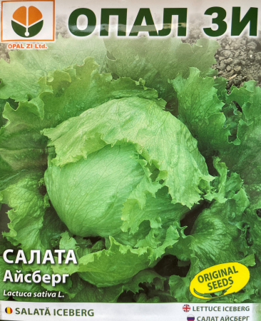 Semințe de Salată - Seminte salata Iceberg - 2 g