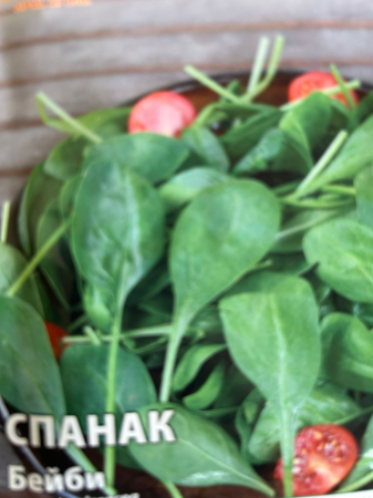 Seminte Spanac Baby spanac (profesional) Olanda  20 grame [1]