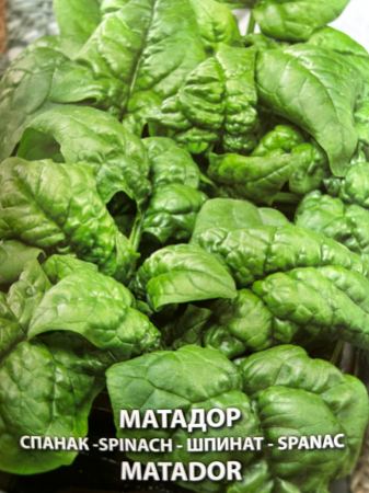 Seminte Spanac Matador (Germania 50 grame [1]