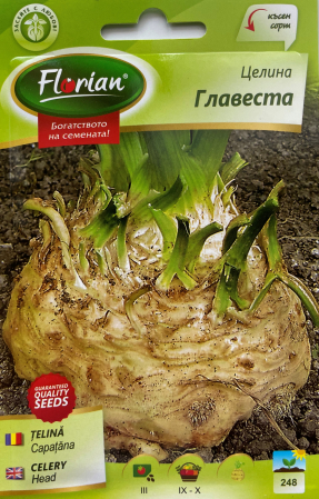 Seminte Telina Gigant Praga (de rădăcină) 2 grame [0]