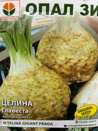 Seminte Telina Gigant Praga (de rădăcină) 2 grame [1]