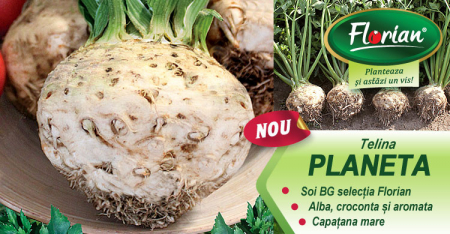 Seminte Telina Planetă  2 grame [1]