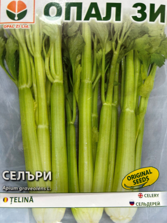 Semințe de Țelină - Seminte Telina Celery (de tulpina)  2 grame