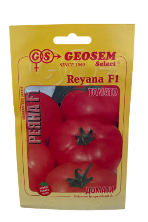 Semințe Roșii - Semințe roșii Reyana F1, Geosem