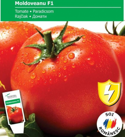 Produse - Seminte Tomate Moldoveanu F1 - 10 seminte