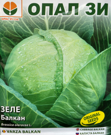 Semințe de Varză - Seminte varza Balkan- 5 g