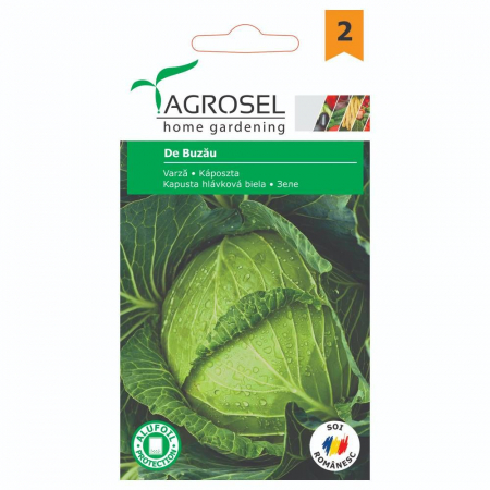 Seminte varza de Buzau [1]