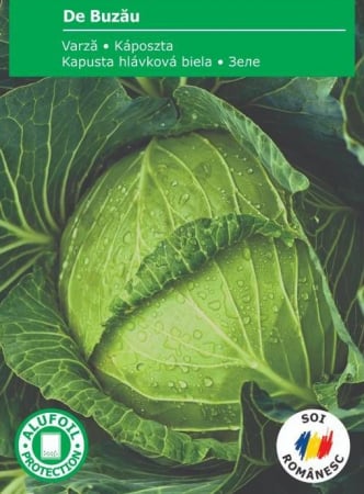 Produse - Seminte varza de Buzau